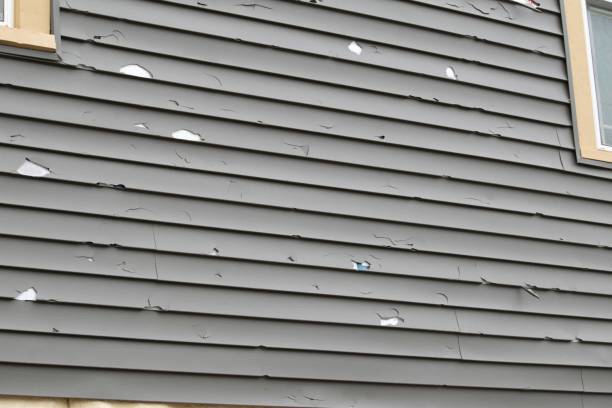 Best Historical Building Siding Restoration  in Osborne, KS